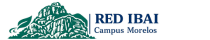 Red IBAI Virtual - Campus Morelos